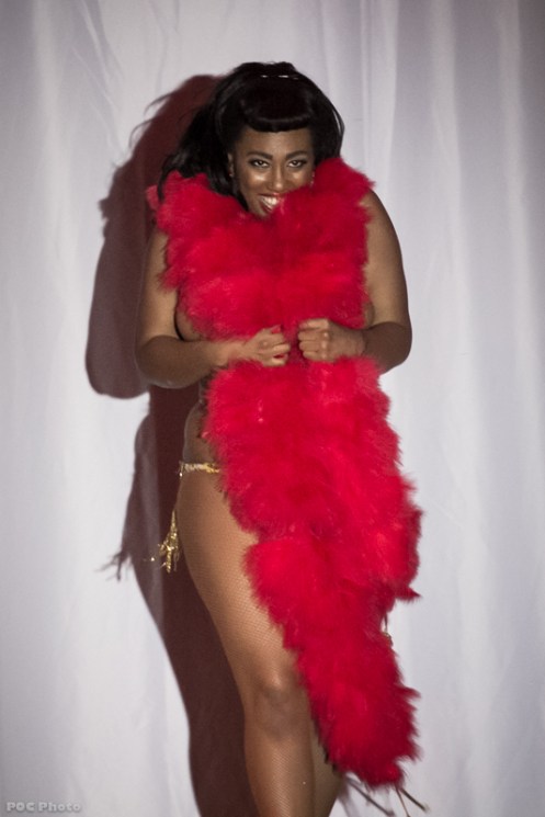 Honey Cocoa Bordeaux-Denton, TX